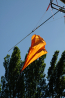 _MG_8923.jpg